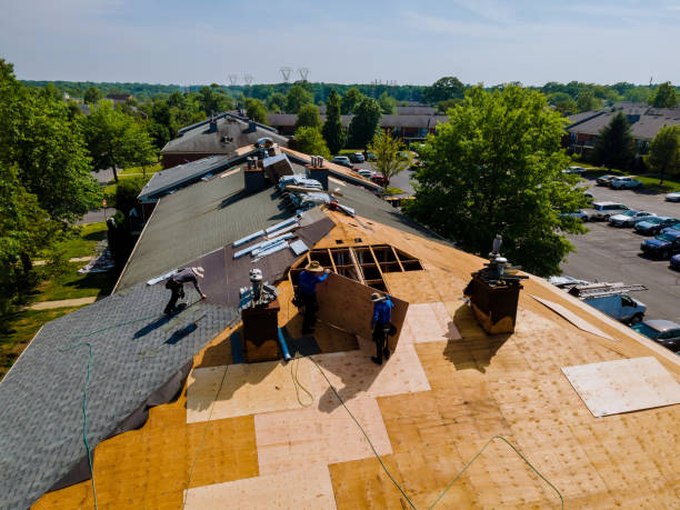 Best Roof Restoration Services  in Barnesville, OH